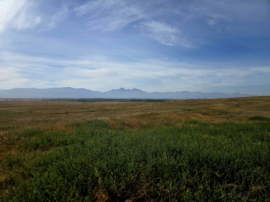 Commercial Property for Sale in Riebeek Kasteel Western Cape